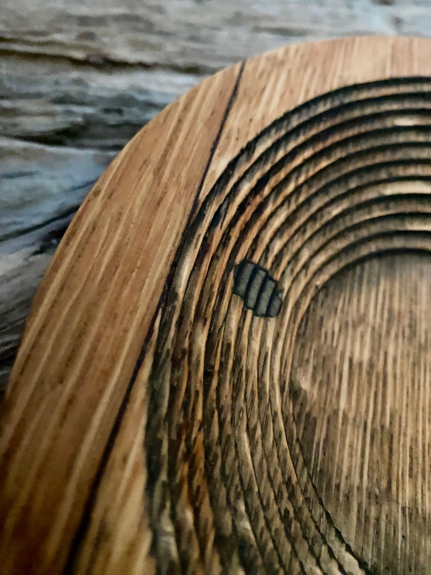 Reclaimed Oak Serving Display Dish