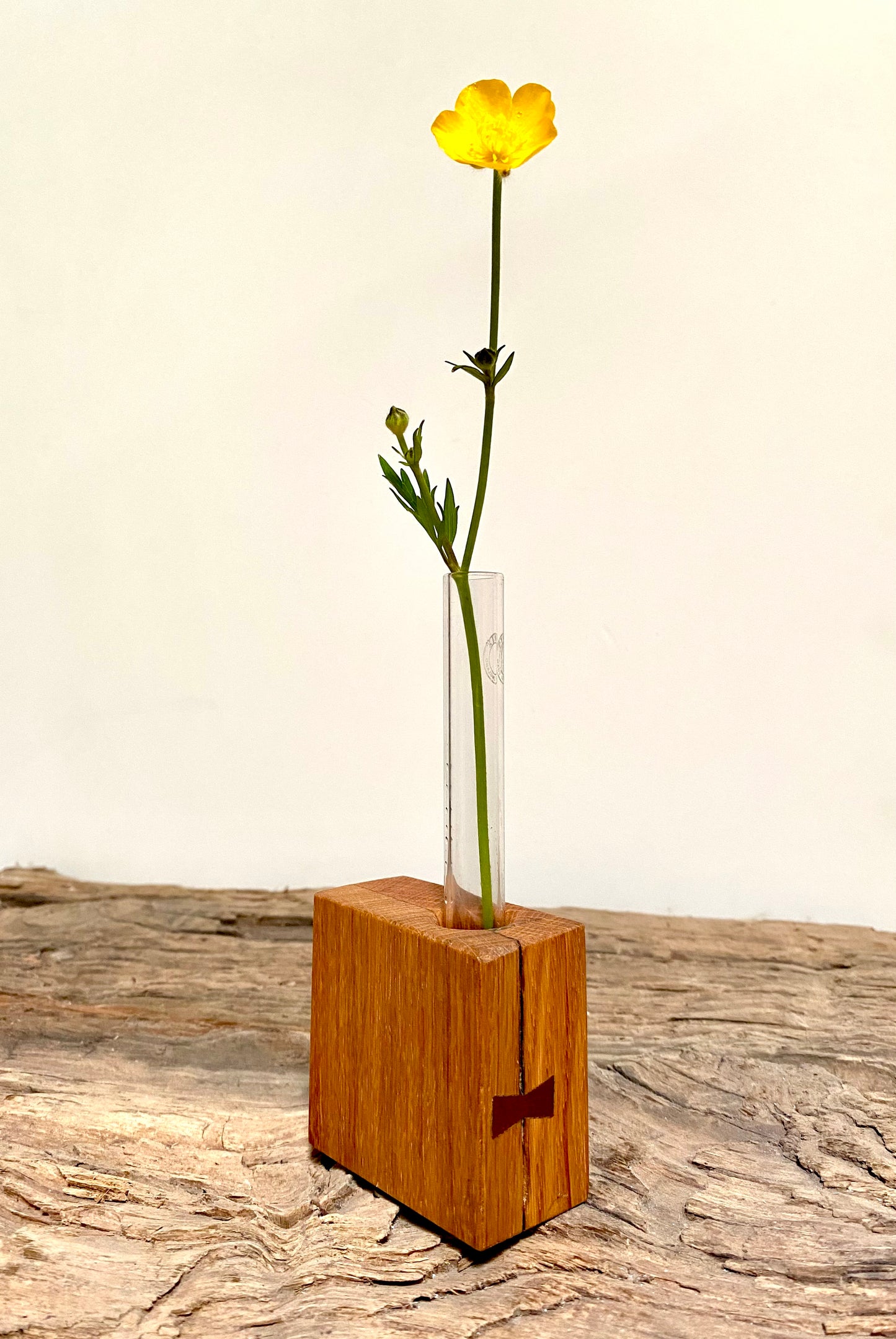 Oak Test Tube Flower Display Vase