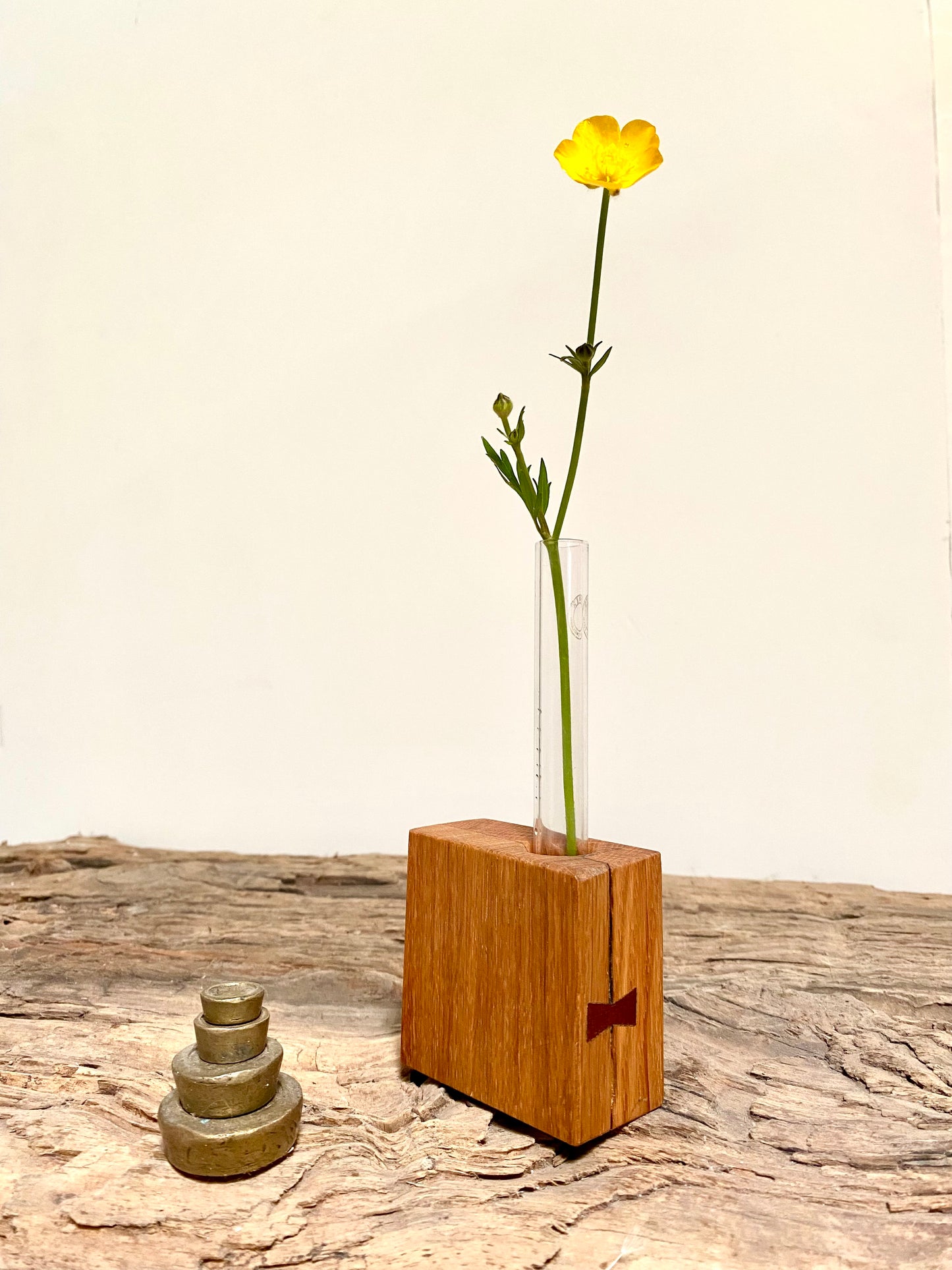 Oak Test Tube Flower Display Vase