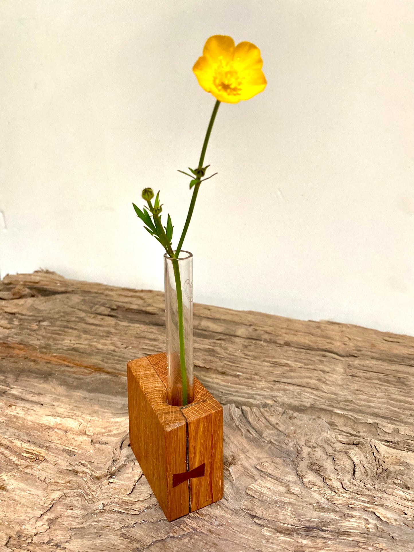 Oak Test Tube Flower Display Vase