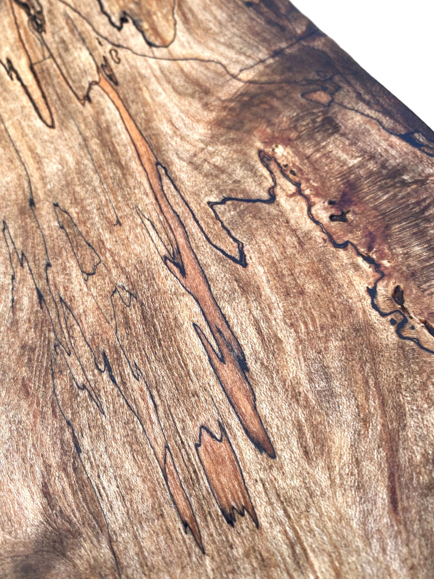 Modern Rustic 'Buttress' Driftwood Coffee Table